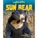 Sun Bear