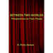 Between Two Worlds: Perspectives on Twin Peaks