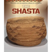 The Shasta