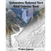 Yellowstone National Park Adult Coloring Book