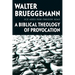 Ice Axes for Frozen Seas: A Biblical Theology of Provocation