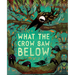 What the Crow Saw Below
