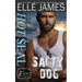 Hot Seal, Salty Dog: A Brotherhood Protectors Crossover Novel