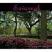 Savannah Impressions