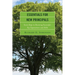 Essentials for New Principals: Seven Steps to Becoming Successful, Key Expectations and Skills