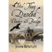 And They Danced Under The Bridge: A Novel Of 14th Century Avignon
