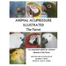 Animal Acupressure Illustrated The Parrot