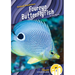 Foureye Butterflyfish