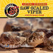 Saw-Scaled Viper: Africa's Deadly Snake