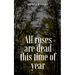 All roses are dead this time of year