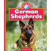 German Shepherds