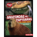Anacondas vs. Capybaras: Food Chain Fights