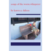songs of the worm whisperer