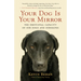 Your Dog Is Your Mirror: The Emotional Capacity of Our Dogs and Ourselves