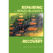 Repairing the Benzo Blunder: A Mosaic of Recovery
