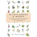 Wildflowers and Weeds