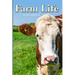 Farm Life: a Picture Book In Large Print For Adults And Seniors