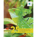 Wildlife In Central America 1: 25 Amazing Animals Living in Tropical Rainforest and River Habitats