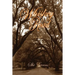 Whiskey Road