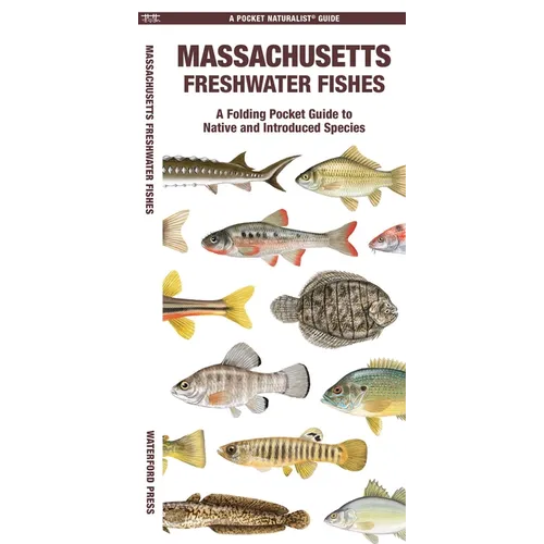 Massachusetts Freshwater Fishes: A Folding Pocket Guide to Native and Introduced Species
