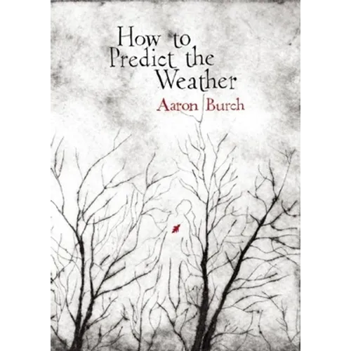 How to Predict the Weather
