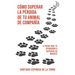 Cómo superar la pérdida de tu animal de compañía