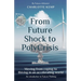 From Future Shock to PolyCrisis