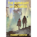 The Runaway Skyscraper: A Positronic Book