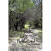 The Path Less Followed: The First Steps