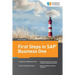 First Steps in SAP Business One