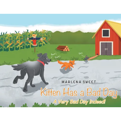 Kitten Has A Bad Day: A Very Bad Day Indeed!