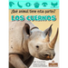 Los Cuernos (Horns)