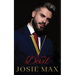 V of the Vengeance: A Revenge Dark Romance