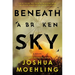 Beneath a Broken Sky