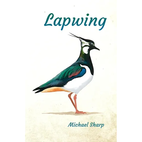 Lapwing