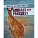 What Do You Know about Animals with Pouches?