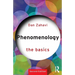 Phenomenology: The Basics
