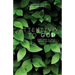 Attentive to God: Being Aware of God's Presence in Daily Life