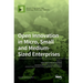 Open Innovation in Micro, Small and Medium-Sized Enterprises