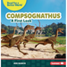 Compsognathus: A First Look