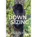 Downsizing