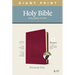 KJV Personal Size Giant Print Bible, Filament Enabled Edition (Leatherlike, Diamond Frame Cranberry, Indexed)
