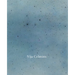 Vija Celmins