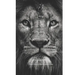 El León Del Rey