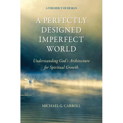 A Perfectly Designed Imperfect World: Understanding God's Architecture for Spiritual Growth
