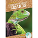 Fun Facts about Lizards