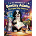 The Adventures of Bentley Adams: The Super Silly Sleepover