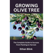 Growing Olive Tree: The Complete Guide to Success from Planting to Harvest