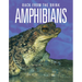 Amphibians: Back from the Brink