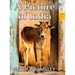 A Picture Of India